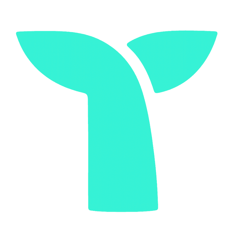 Home v3 101 triple whale
