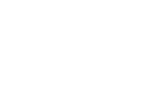 Home v3 55 wfs isotipo